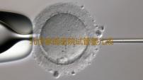 北京家圆医院试管婴儿成功率在60%左右,北京三代试管借卵生儿子成功率预估能到60%
