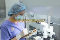 温州高端代生机构2023温州试管婴儿医院排名，附成功率及费用介绍‘32周双顶径看男女’
