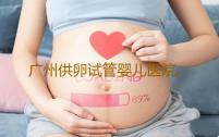 广州供卵试管婴儿医院,广州供卵试管要求-借腹代孕公司